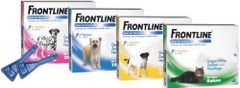 Frontline Spot-on für mittelgroße Hunde - 3 Stück